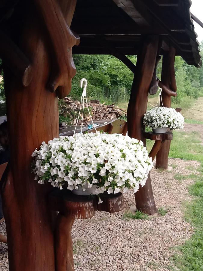 Dolina Witowki Hotel Wola Kaluska Екстериор снимка
